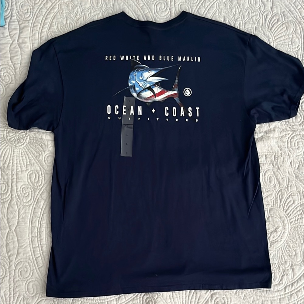 Blue Short Sleeve Graphic Tee
